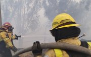 El incendio forestal registrado en La Vicentina generó una columna de humo visible y obligó a restringir parcialmente la circulación vehicular.
