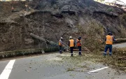 Los árboles quedaron en riesgo de caer en un tramo de la avenida Velasco Ibarra.