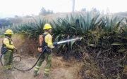En San Juan de Chuspiyacu, en Tumbaco, se registró un incendio forestal, Días después ocurrió otra emergencia por una quema de follaje.