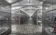 Jaulas metálicas como "zonas de calma" para los migrantes detenidos en Alligator Alcatraz, antes de su cierre este verano en el sur de Florida.
