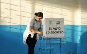 Los electores encontrarán ocho colores diferentes: café, gris, verde oscuro, celeste, verde claro, amarillo, rosa y naranja.