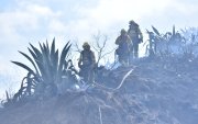 Bomberos Quito mantiene operaciones terrestres y aéreas en el cerro Casitagua para controlar el incendio forestal y evitar su propagación.