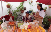 Ligia, Rosalía y Bella Criollo (de izquierda a derecha), en el Mercadito Agroecológico, en San Antonio de Pichicha.