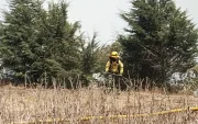Imagen referencial. Fotografía de un incendio forestal en el sector de Catzuquí de Moncayo, en el norte de Quito.