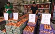 Los precios de huevos está determinado por el tamaño, la marca y las condiciones de crianza.