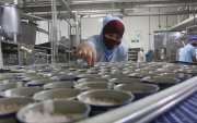La industria del atún está afectada por la escasez del pescado, por el calentamiento del mar.