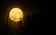 La Luna llena de septiembre tendrá lugar el sábado 26 y será conocida tradicionalmente como la Luna de la Cosecha o Luna del Maíz.