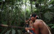 Las comunidades indígenas preservan bosques hace décadas sin mercados de carbono. ¿Qué tal si estos mercados se convierten en herramienta para financiar esas iniciativas comunitarias, en lugar de reemplazarlas?