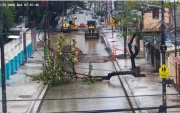 Un árbol cayó sobre una calle en la ciudadela La Atarazana, en el norte de Guayaquil, la mañana de este miércoles 23 de septiembre