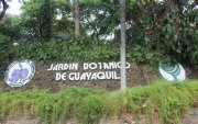 La Feria de Biodiversidad tendrá lugar en el Jardín Botánico de Guayaquil