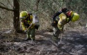 El incendio en el cerro Casitagua fue controlado tras cinco días de intensas labores.