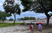 El parque lineal de la calle Portete es utilizado por vecinos para caminar y pasear a sus mascotas, aunque algunos moradores cuestionan la seguridad y el estado del espacio.