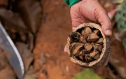 Proyectos. Cada propuesta de emprendimiento podrá recibir entre 85,000 y $ 300.000 en financiamiento.