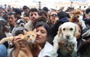 Familias quiteñas podrán acudir con sus mascotas a la tradicional bendición que se realizará en la Plaza de San Francisco este sábado especial.