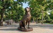 La escultura de Max rendirá homenaje al perro comunitario que se convirtió en un personaje querido de la Escuela Politécnica Nacional.