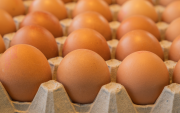 Comerciantes de Ambato y Cotopaxi reportaron una caída en las ventas y clientes que compran menos huevos tras el alza.