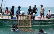 Buzos científicos descendiendo al mar estructuras para pastos marinos frente a la isla Kariyachalli, cerca de la costa de Thoothukudi, en el estado indio de Tamil Nadu.