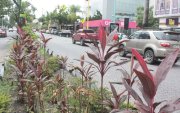 Las peatonales y áreas verdes de Urdesa requieren mantenimiento permanente, con tareas que involucran al Municipio y la participación de los vecinos.