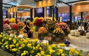 Expoflores advirtió que la informalidad abarca 1.200 hectáreas productivas y representa un riesgo para las exportaciones de flores ecuatorianas.