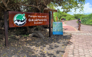 Galápagos se prepara para El Niño: científicos y operadores turísticos, en alerta.