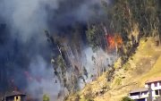 Los incendios forestales se mantienen activos en tres provincias de Ecuador, según la Secretaría Nacional de Gestión de Riesgos. Imagen referencial.