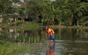 Un agricultor muestra que su cultivo, en Babahoyo, está inundado.