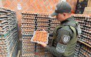 La policía de Colombia detuvo un contrabando de huevos que al parecer venía de Ecuador.