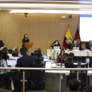 Desde 2014, el Distrito Metropolitano de Quito cuenta con 21 ediles, más el alcalde.