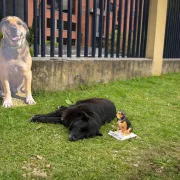 Max vivió durante 15 años en la Escuela Politécnica Nacional.