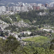 Guápulo y Bolaños fueron afectados por incendios forestales, actualmente la vegetación muestra claros signos de regeneración.