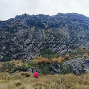 El incidente ocurrió en el sector conocido como la Cueva del Oso, en el Rucu Pichincha.