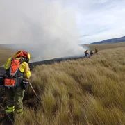 Bomberos de Quito controlaron el incendio forestal registrado este domingo en el sector de Yurac, en la parroquia de Píntag.