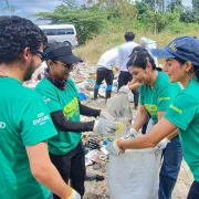 Plantas nativas fueron sembradas en alianzas público-privadas