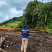 Control. Los inspectores de la AMC recorrieron el predio afectado en Guamaní, en donde el dueño taló 70 árboles nativos.