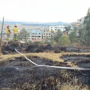 Una de las emergencia ocurrió en la Jaime Roldós, en el norte. Allí ocurrió un incendio forestal.