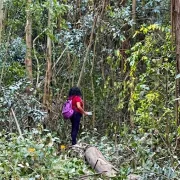 Maytté Gavilanes camina en la zona talada, el martes 14 de julio del 2026, en El Bosque.