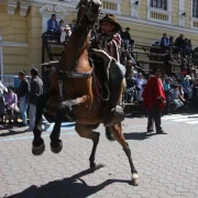 El Paseo Procesional del Chagra reunirá este fin de semana a jinetes y visitantes en Machachi para mantener viva una tradición ecuatoriana centenaria.