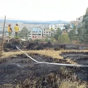 El 14 de julio ocurrió un incendio forestal en el sector Jaime Roldós, en el norte de Quito.