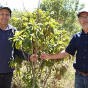Ramiro Morejón Neira y Juan Carlos Robles Neira acuden al menos tres veces por semana al bosquete, en el Bicentenario.