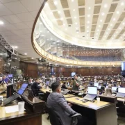 Asamblea suspendió el debate el 29 de julio por desacuerdos sobre familia y reproducción asistida.