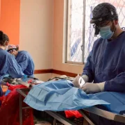 La campaña de esterilización se realizará el 29 de agosto en tres sectores de Quito.