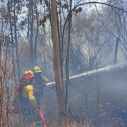 Bomberos Quito controlaron un incendio forestal registrado este sábado 12 de septiembre en el sector de El Quinche.
