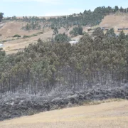 En una zona del cerro Casitagua el fuego ta fue controlado. En el sector norte las llamas siguen.
