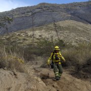 El cerro Casitagua permanece afectado por un incendio forestal que ha consumido cerca de 300 hectáreas de vegetación en Quito.