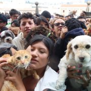 Familias quiteñas podrán acudir con sus mascotas a la tradicional bendición que se realizará en la Plaza de San Francisco este sábado especial.