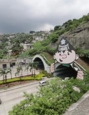 TUNEL SAN EDUARDO  (31180283)