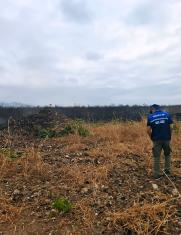 Segura ep olor quemado