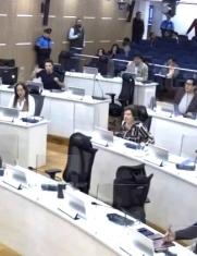 concejo metropolitano de Quito