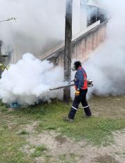 DENGUE EN ECUADOR