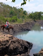 Trabajo en albarradas en Guayas